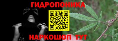 jwh Можга