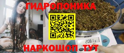 PSILOCYBIN Моздок