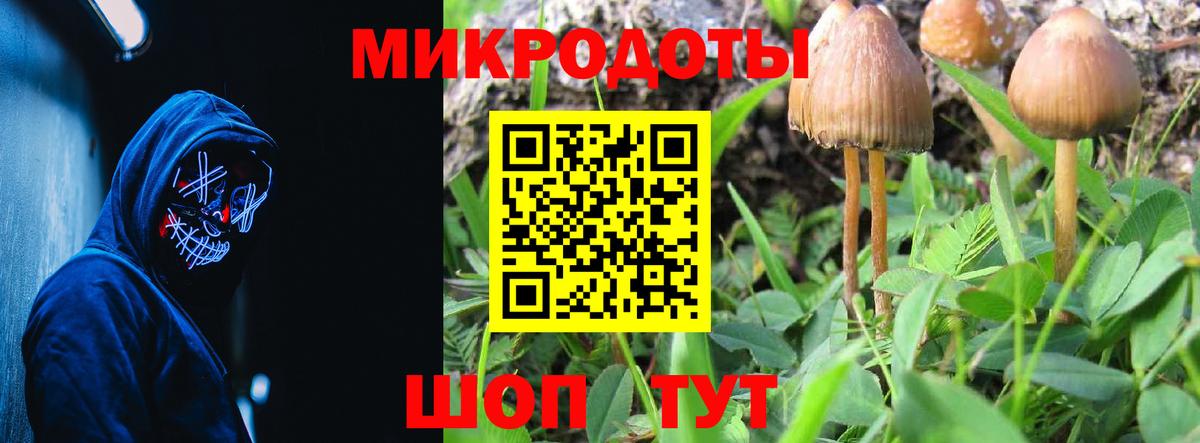 Фурманов  Псилоцибиновые грибы GOLDEN TEACHER  Вход с VPN 
